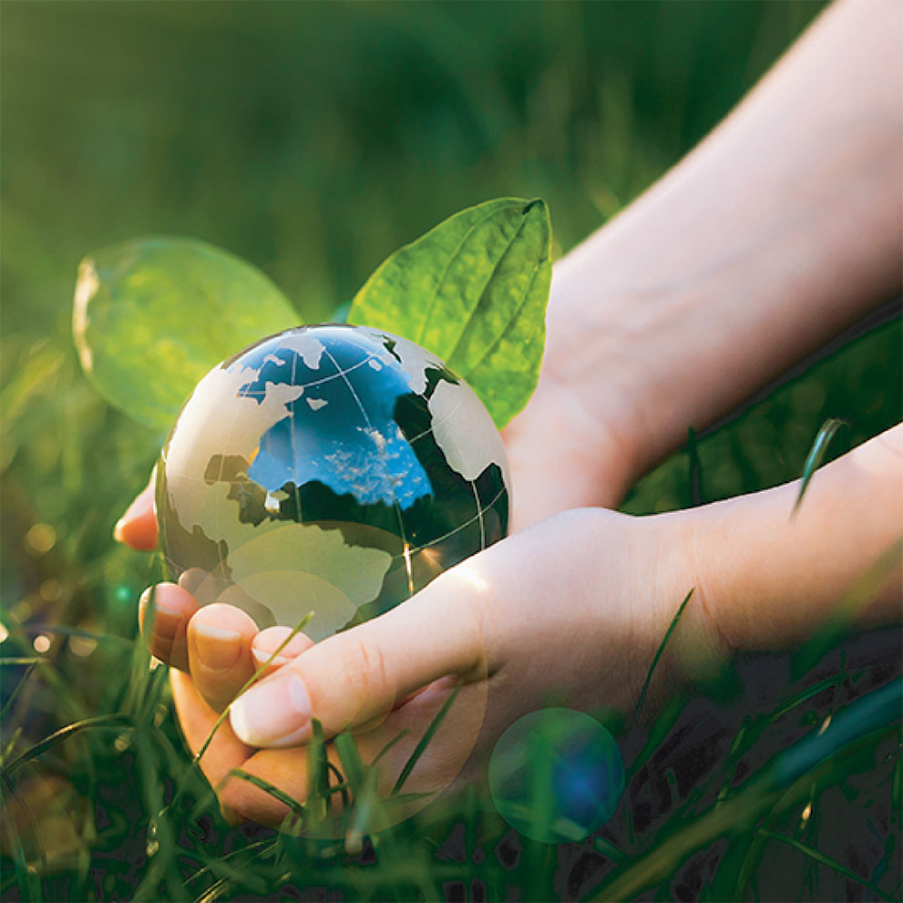 Kids hands holding a globe